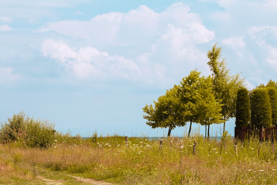 Peaceful summer landscape with trees and open sky in Pogradec, Albania.