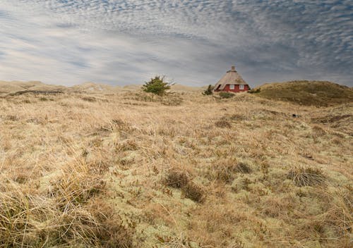 乾草, 多雲的天空, 山丘 的 免費圖庫相片