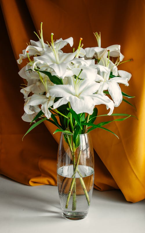 ガラス花瓶, 垂直ショット, 美しい花の無料の写真素材