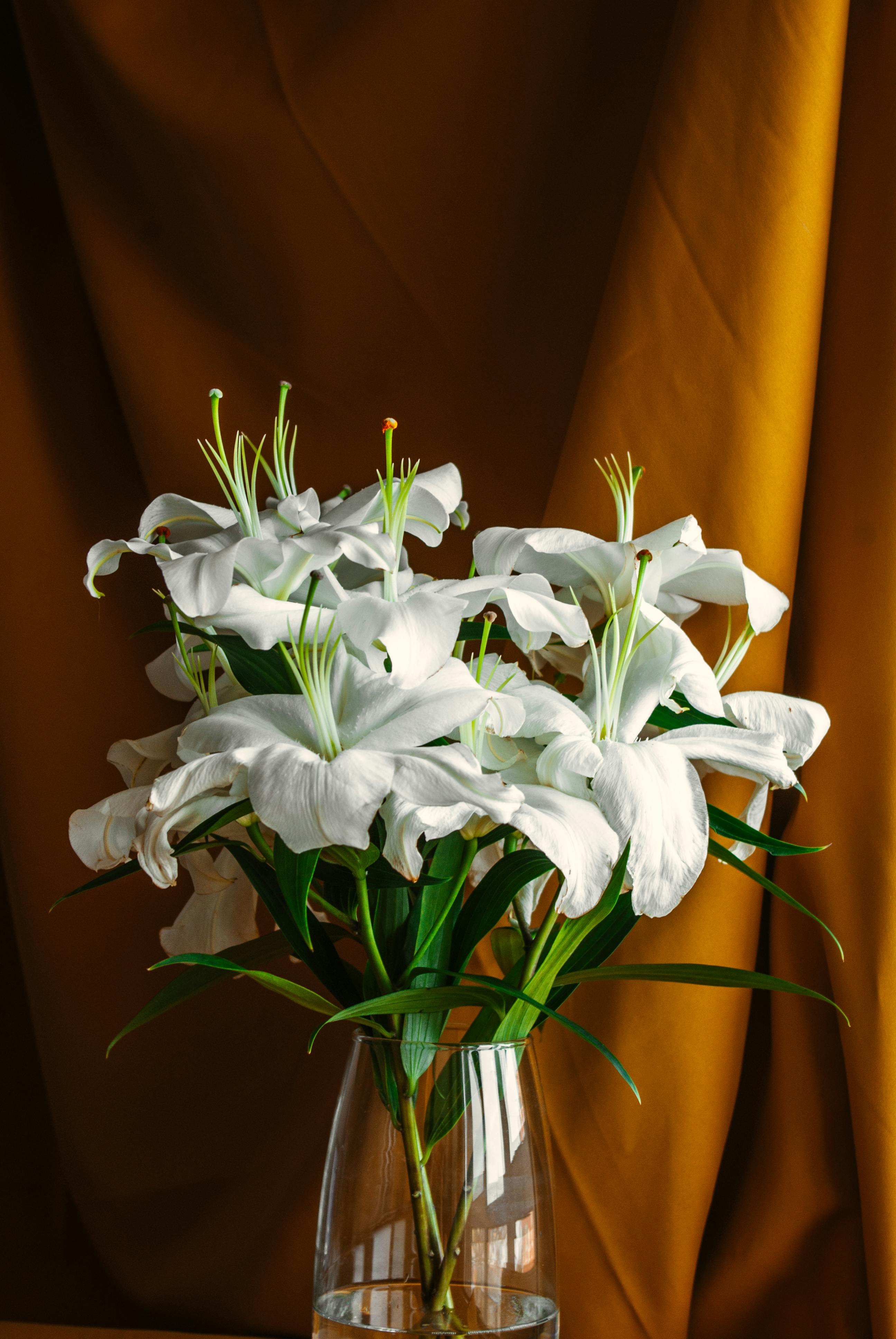 A stunning bouquet of white lilies in a glass vase against a rich fabric backdrop.