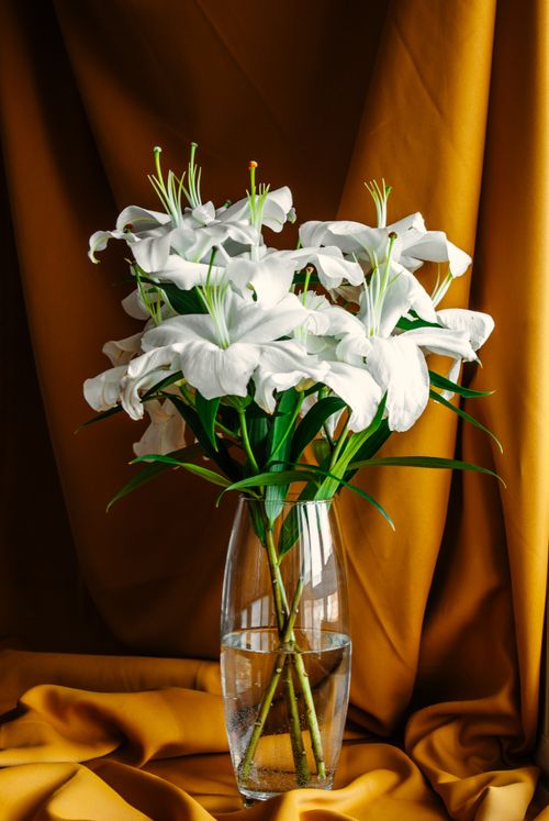 Free A stunning arrangement of white lilies in a glass vase with a warm mustard background. Stock Photo