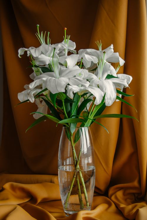 Free A beautiful arrangement of white lilies in a glass vase against a warm colored backdrop. Stock Photo
