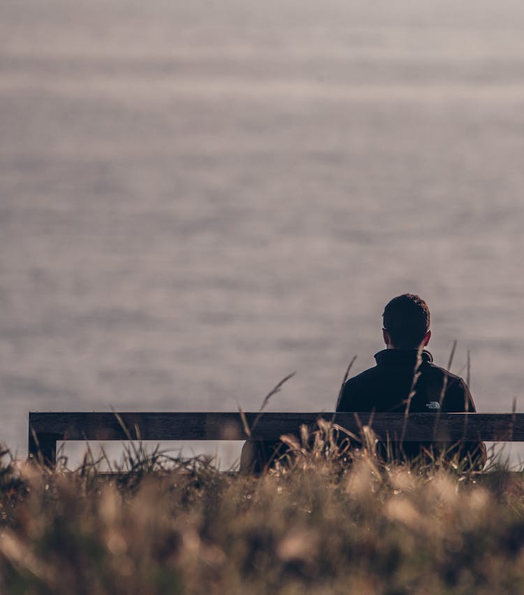 Backview Of Man Sitting On A Bench 