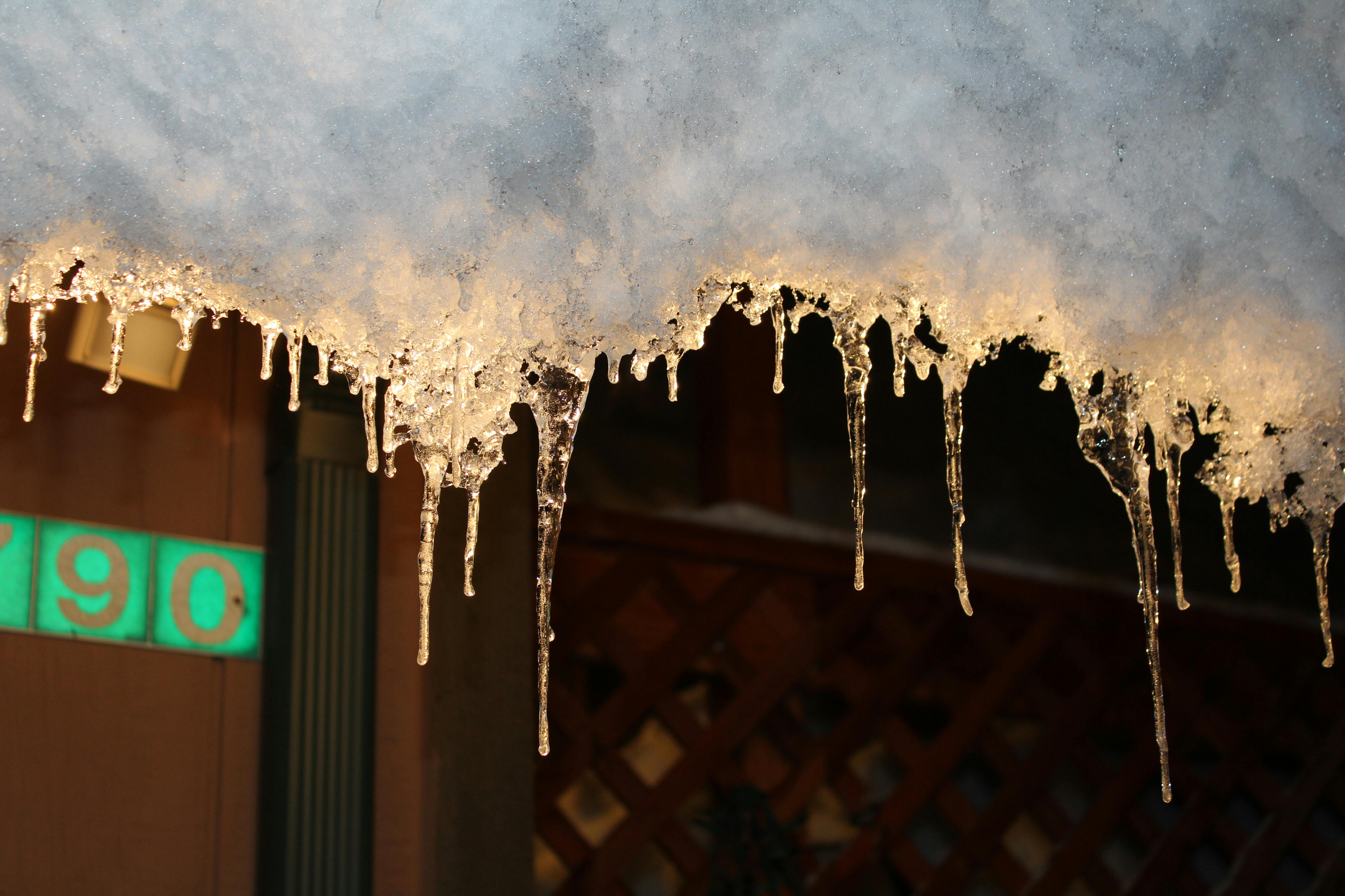 Free stock photo of Lit up Icicles