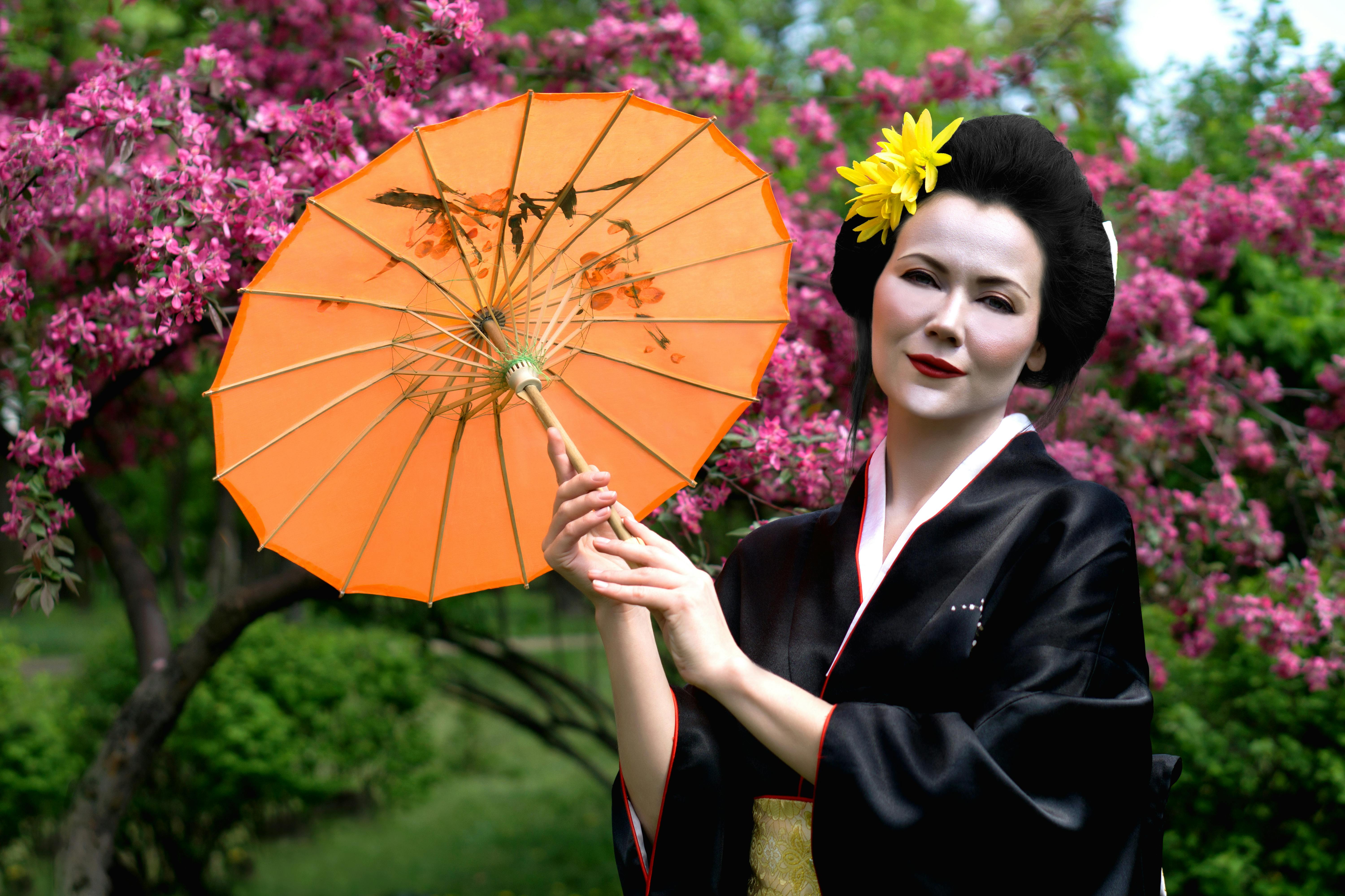 Free stock photo of flowers, geisha, grass