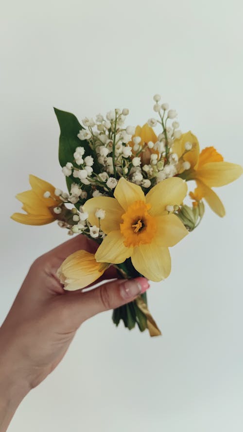 Gratis arkivbilde med blomsterblad, delikat, flora