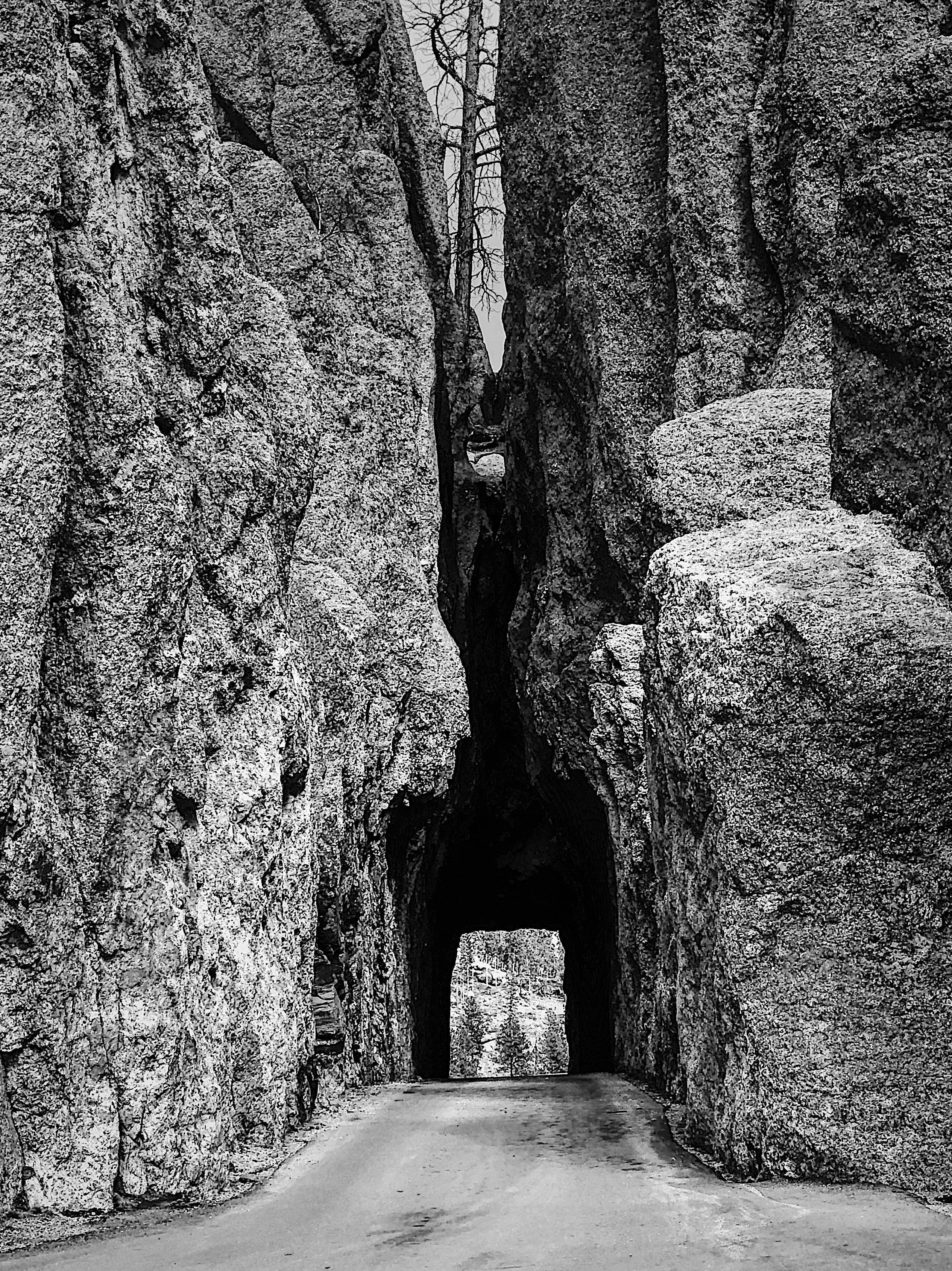 一条狭窄的隧道穿过高耸的岩层，在宁静的道路上延伸，令人惊叹