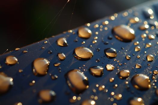Detailed macro image capturing water droplets on a dark surface reflecting light.. pexels, detailed, macro