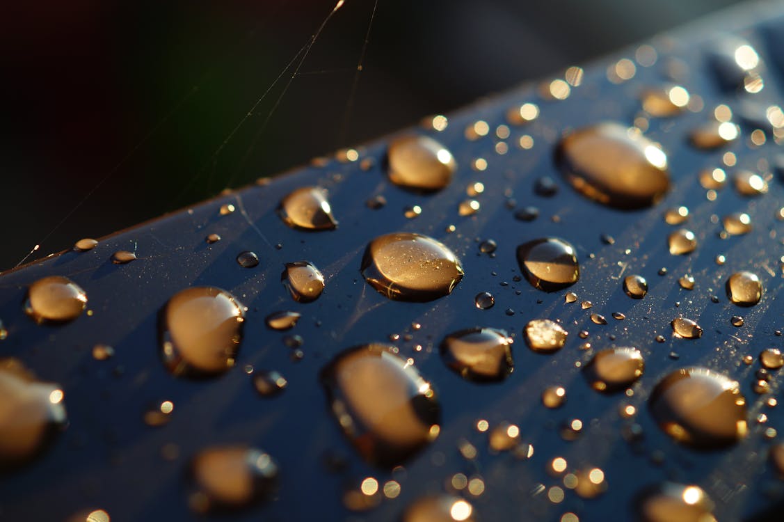 Fotografia Com Gotas De água Com Foco Diferencial