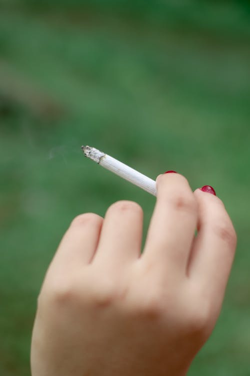 Person Holding Cigarette Stick