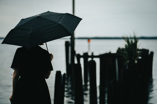 A silhouette of a woman holding an umbrella near a calm waterfront.