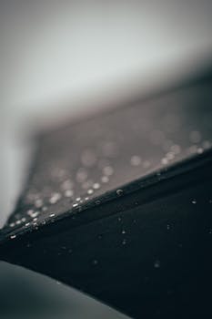 Intimate close-up of water droplets on a black umbrella, showcasing rain's delicate beauty.