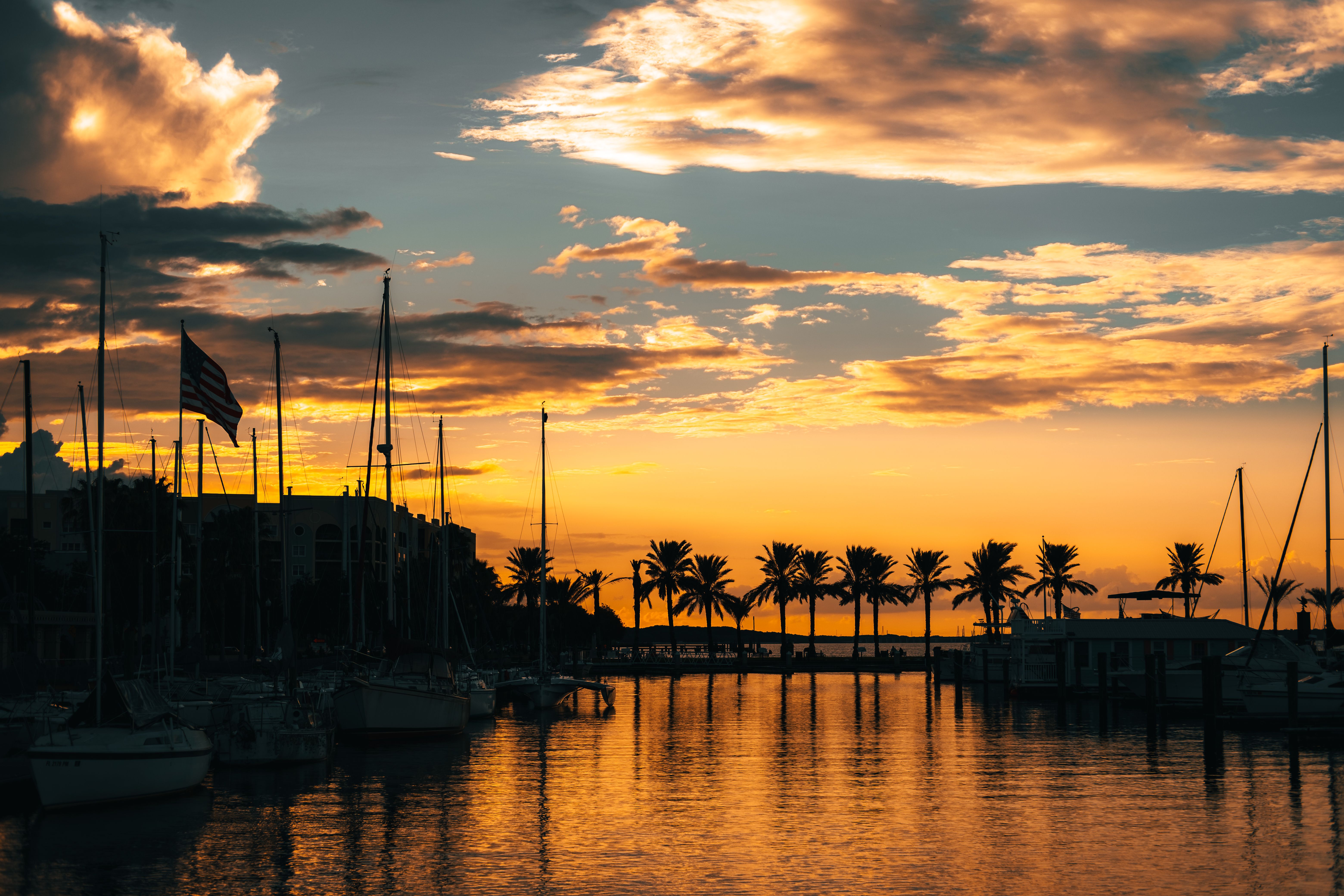 Serene marina sunset with palm trees and boats silhouetted against an orange sky. Serene marina sunset with palm trees and boats silhouetted against an orange sky.