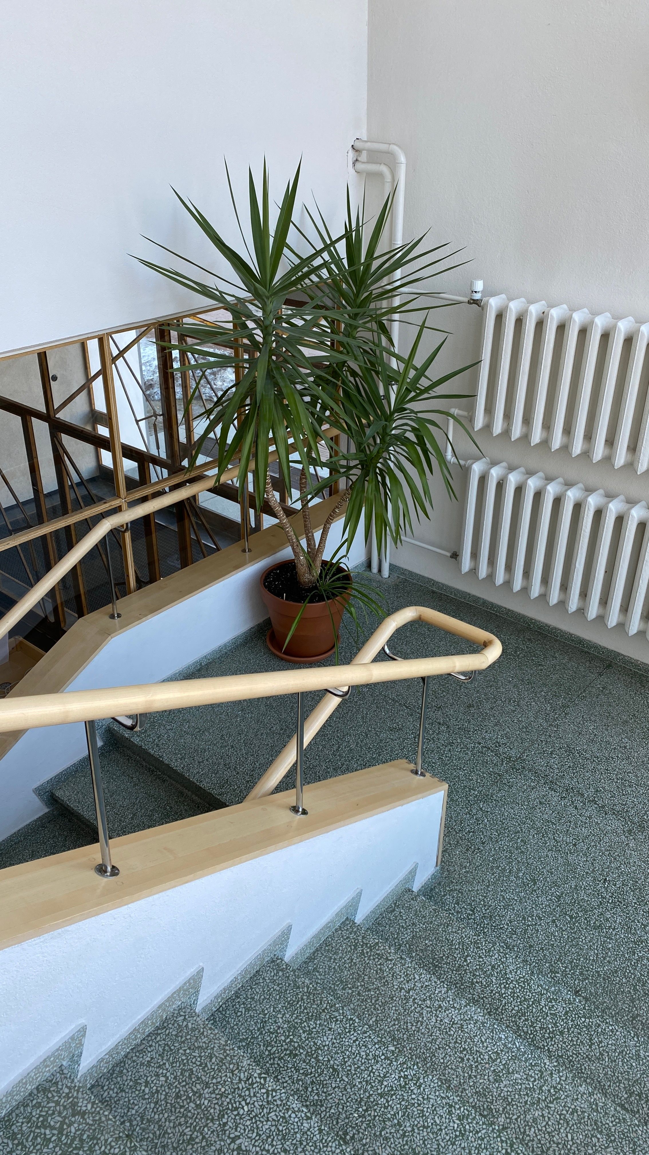 Kostenloses Stock Foto zu architektonisches merkmal, Ästhetik im innenbereich, ästhetisches interieur