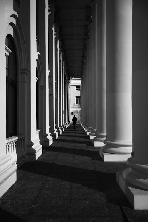 Silhouette of Person Next to Columns