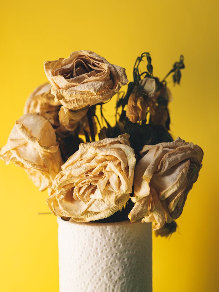 Close-up Of Dry Flowers 