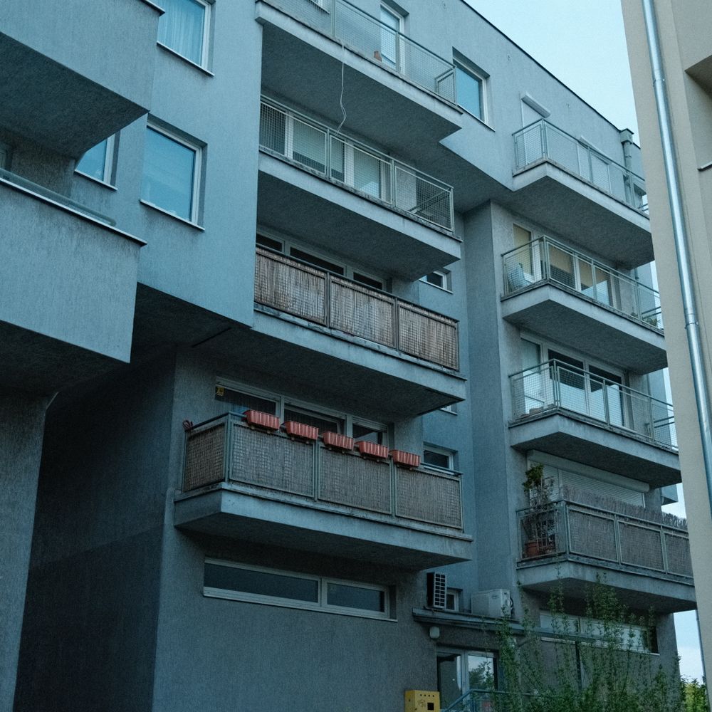 Interior Painting in Noak Hill — clean edges cut in around trim and sockets