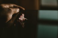 一只握着花的手在黑暗的表面上反射，气氛喜怒无常