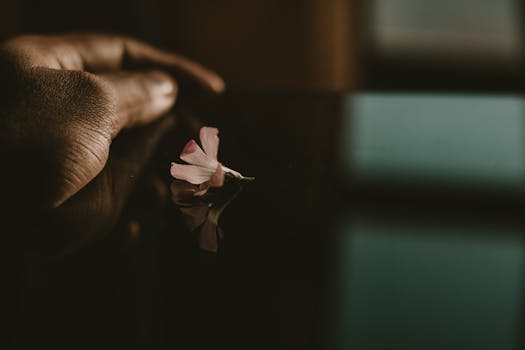 一只握着花的手在黑暗的表面上反射，气氛喜怒无常