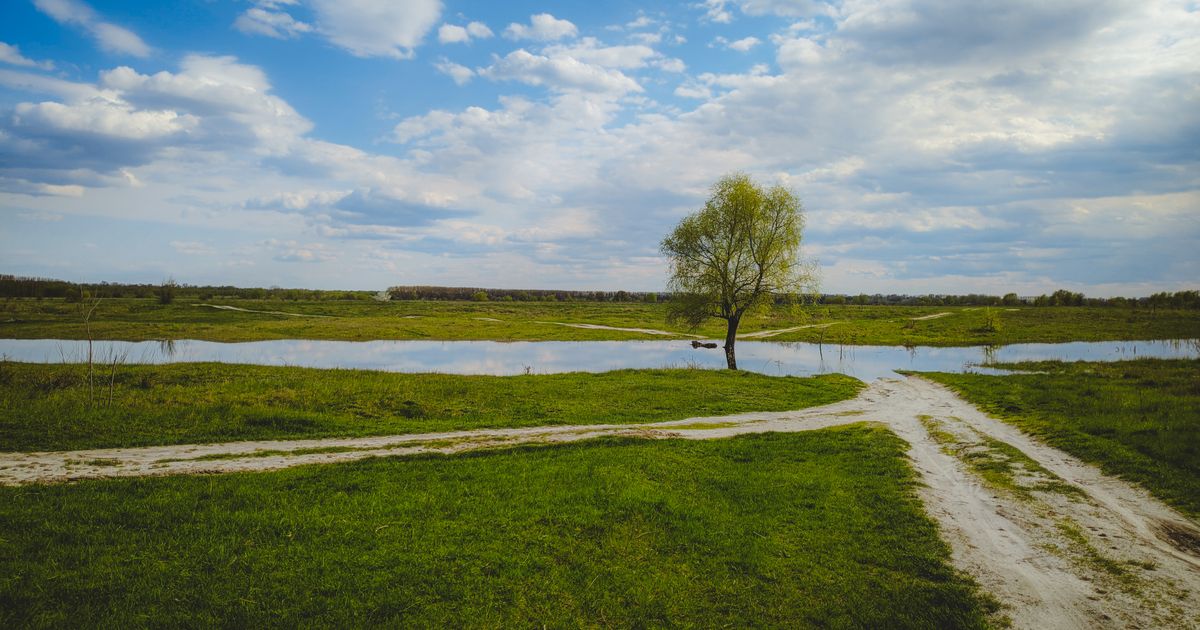 Serene landscape featuring a lone tree by a calm river under a vibrant sky