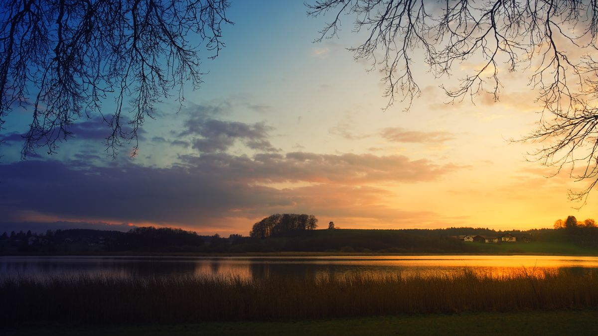 Peaceful landscape