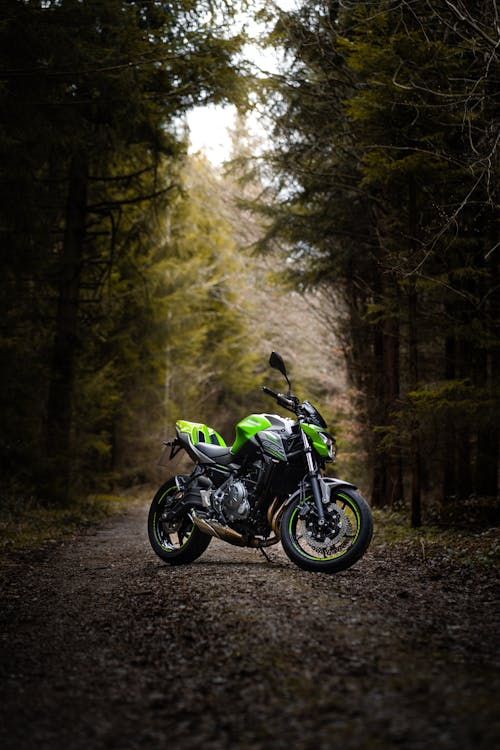 Green Motorcycle in the Middle of the Road