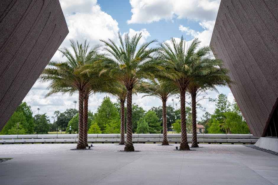 Modern retail plaza in Orlando with palm trees and contemporary architecture - Commercial property management Florida