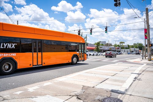 Orange and Black Bus on the Road