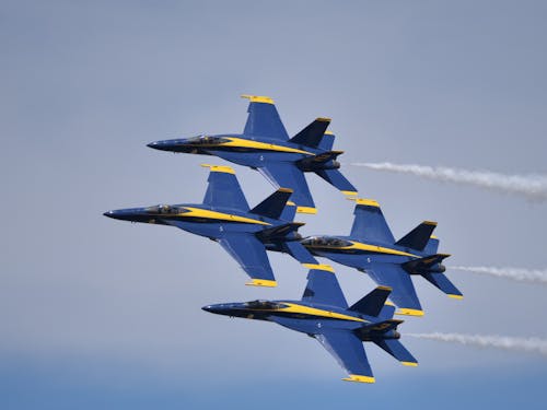 Gratis lagerfoto af blue angels, flåde, flyrejse