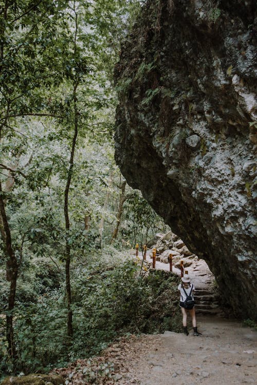 Δωρεάν στοκ φωτογραφιών με trekking, βουνό, γυναίκα