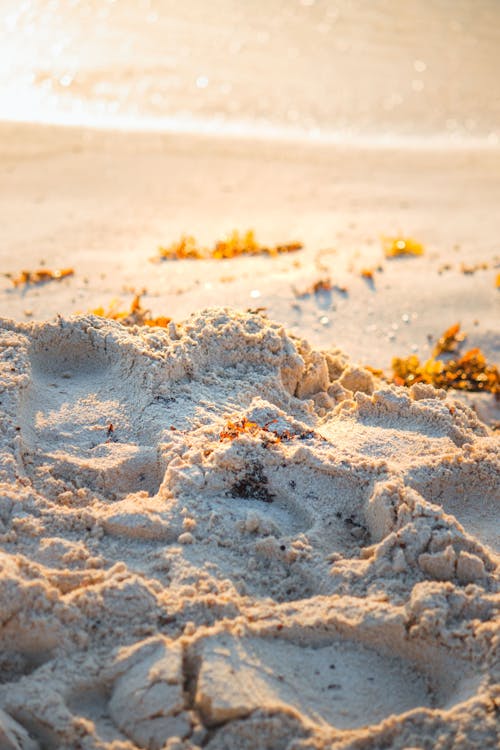 Immagine gratuita di destinazioni di viaggio, luce del sole, mare