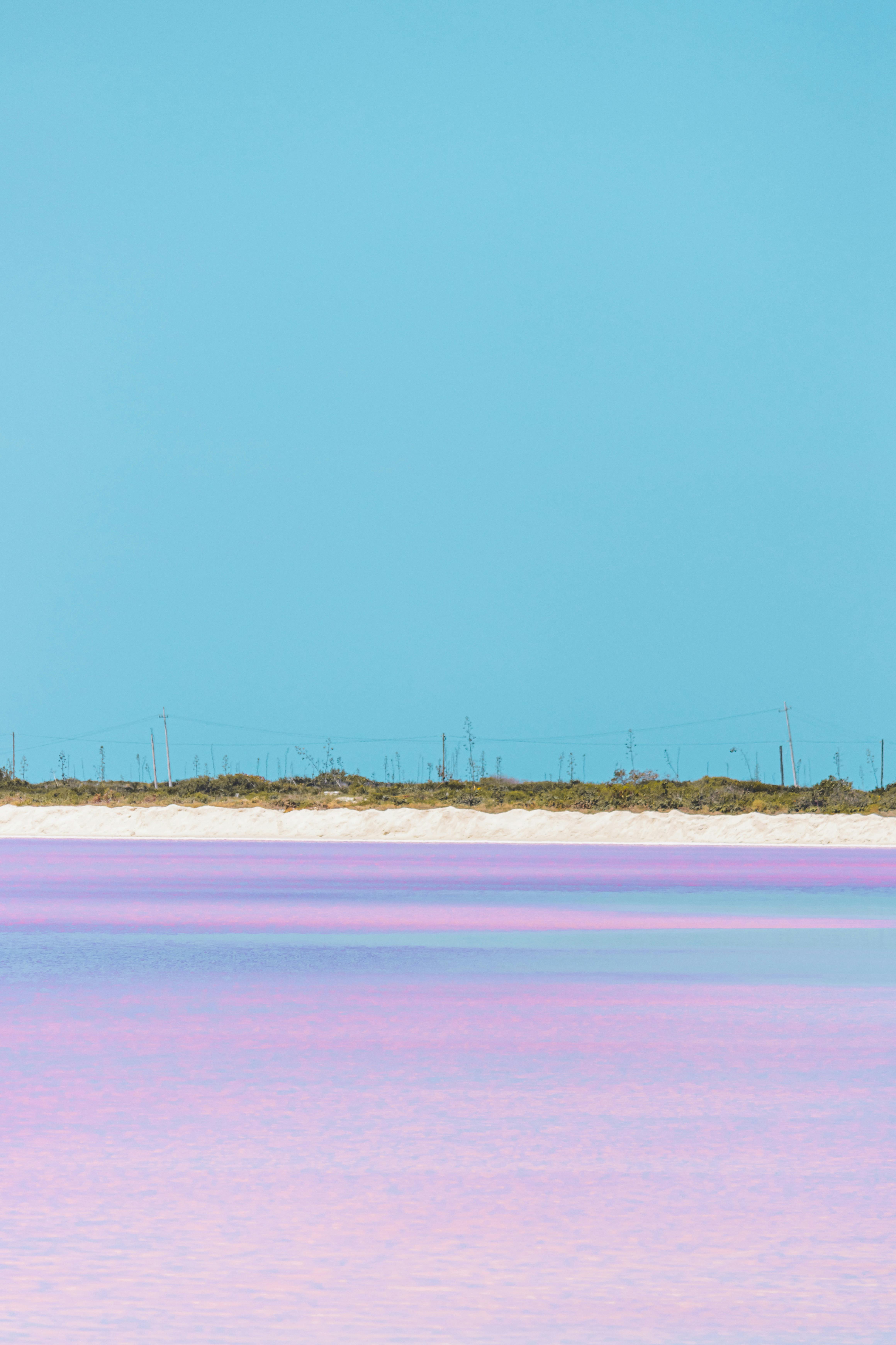 Pink Water in Laguna Rosada, Telchac Puerto, Mexico · Free Stock Photo