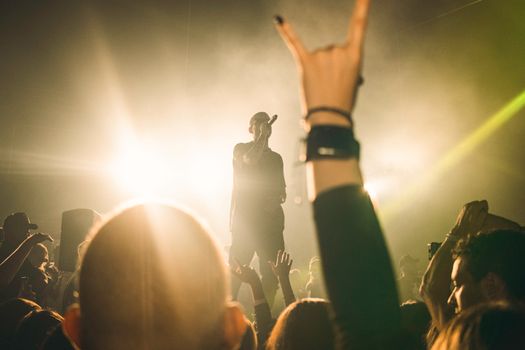 Dynamic rock performance with enthusiastic crowd at a lively night concert.