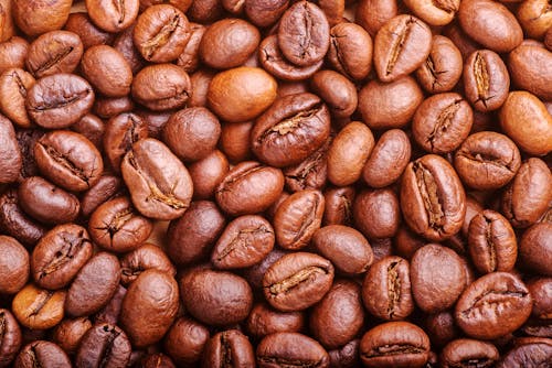 Roasted Coffee Beans in Abundance