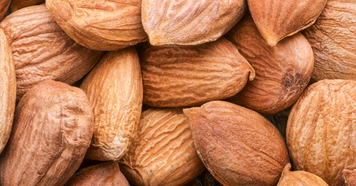 A detailed close-up of unpeeled almonds showcasing their texture and earthy brown tones.