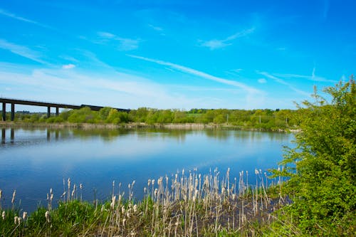 Foto profissional grátis de água, ao ar livre, beira do lago