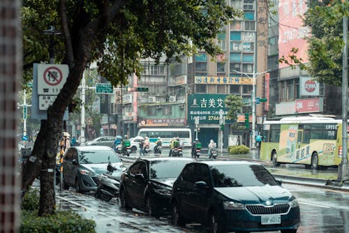 下雨, 交通, 交通標識 的 免費圖庫相片