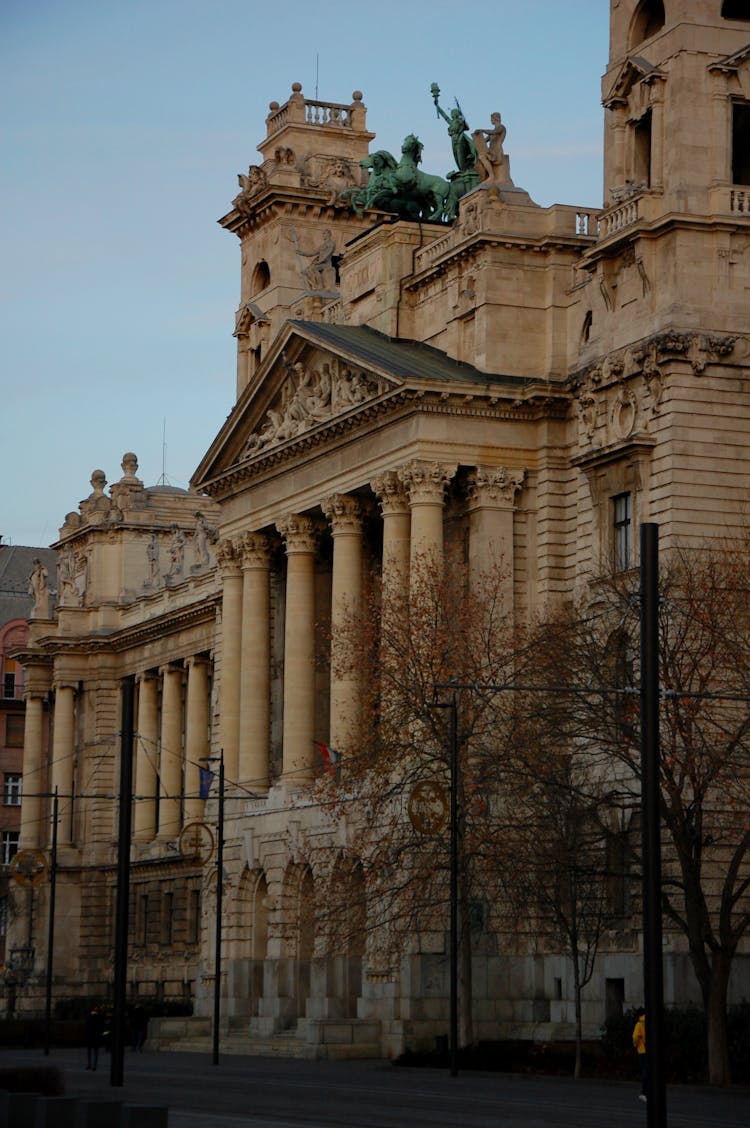 Bare Trees Beside The Museum Of Ethnography Building