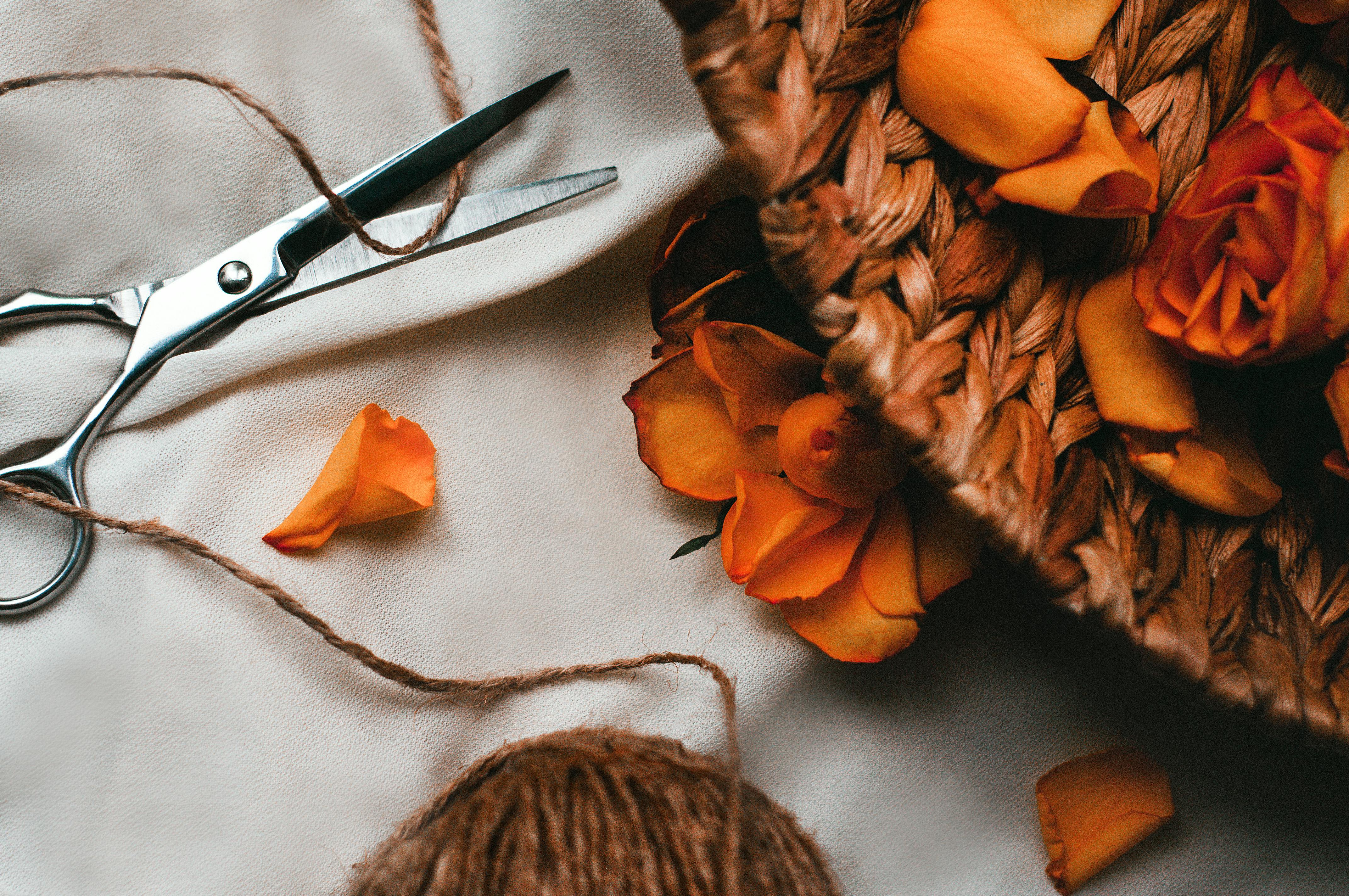 7 Best Hobby Lobby Fall Craft Finds Flying Off Shelves Right Now — Photo by Olga Libert on Pexels
