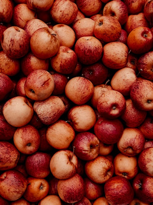 Free Red Apples  Stock Photo