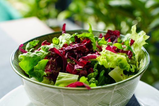 MIXED GREEN SALAD