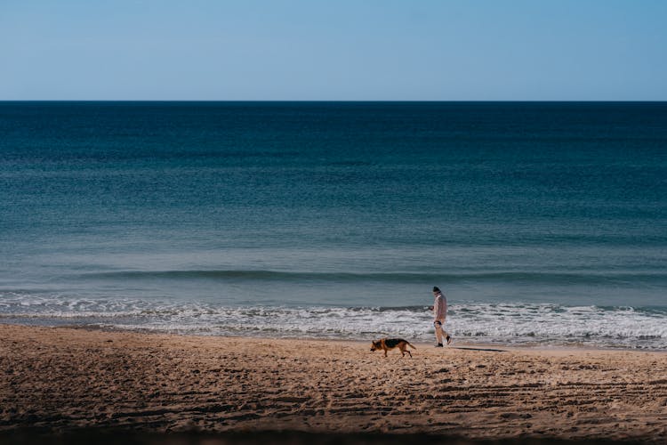 A Man Walking His Dog At The Beach 