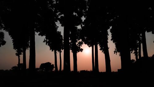 Free A beautiful sunset over a dark forest silhouette in Pabna, Bangladesh. Stock Photo