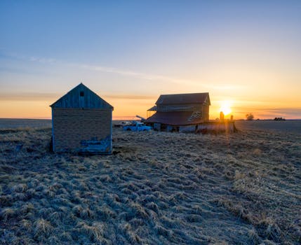Beautiful sunrise over a tranquil rural farm setting in Minnesota, capturing the essence of countryside serenity.