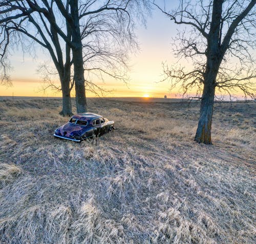 Black Car Parked Beside Bare Trees during Sunset