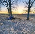 Black Car Parked Beside Bare Tree during Sunset