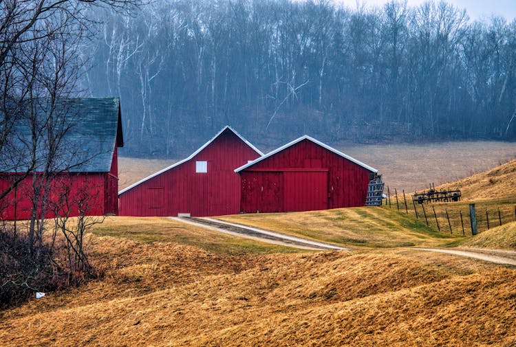 Red Wooden Barns Near Leafless Trees