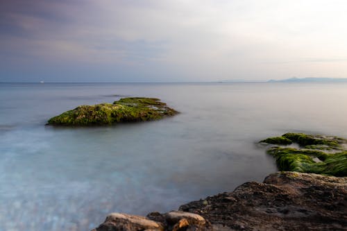 ビーチ, 地平線, 島の無料の写真素材