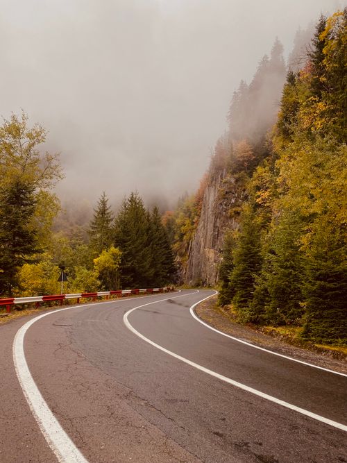 Free Curved road through foggy autumn forest with mountain cliffs, showcasing nature's serene beauty. Stock Photo