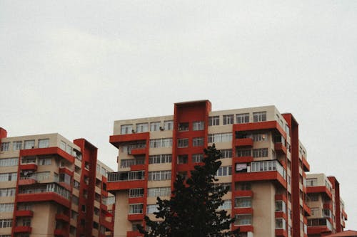 ağaç, apartman kompleksi, bina cephesi içeren Ücretsiz stok fotoğraf